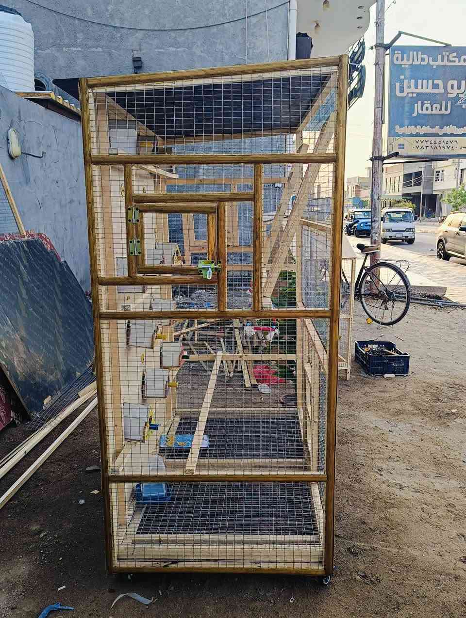 قفص طيور • كوكتيل • حب