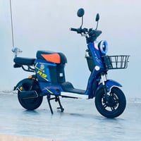وينلي أصلي • ٢٠٢٦ • بطاريات ٣٢