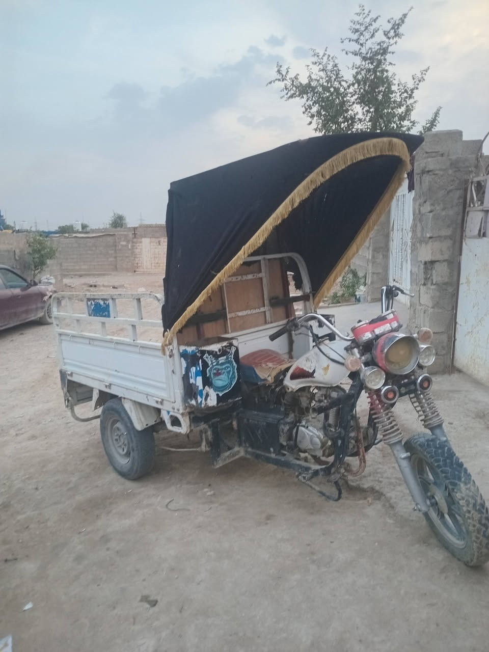 ستوته • موديل ٢٠ • اوراق كامله