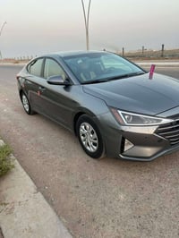 النترا • ٢٠١٩ • وارد امريكي