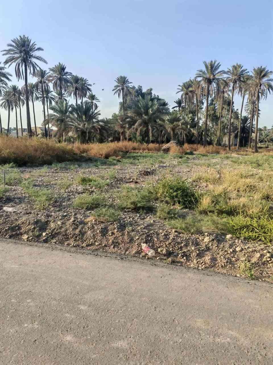 قطعه مساحتها 800متر
خدمات كامله وجه تبليط مي كهرباء تبليط
العنوان  كريطعه قرب سيد محسن طابو زراعي سند25
استفسار اكثر الاتصال بل رقم
مكتب وعقارات الوارث
***********

