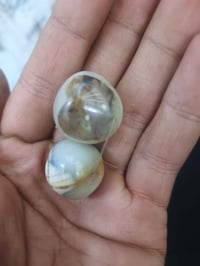 سليمانيات • نثية وفحل • البصرة