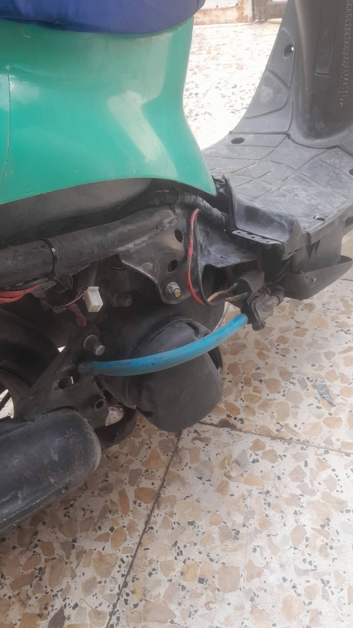 نضيفه • تشتغل • بصرة