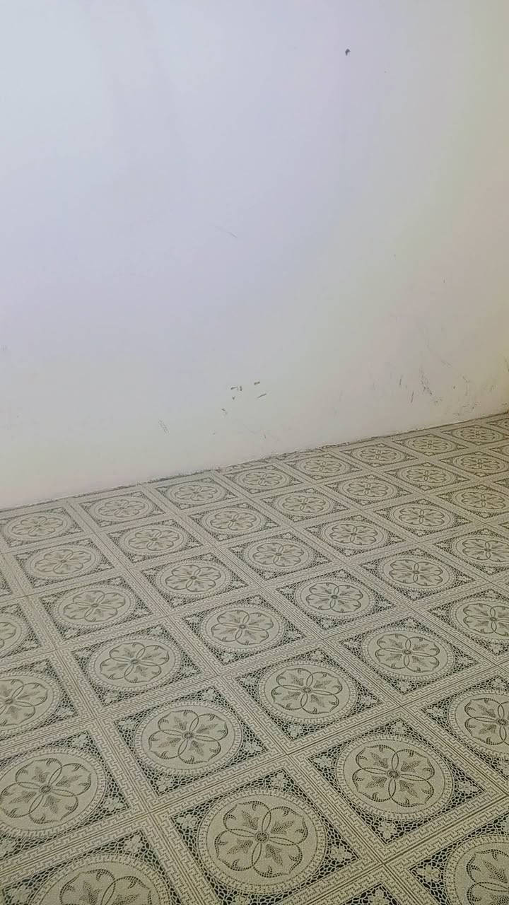 الشعب شارع عدن • ٨٠م • عائلي