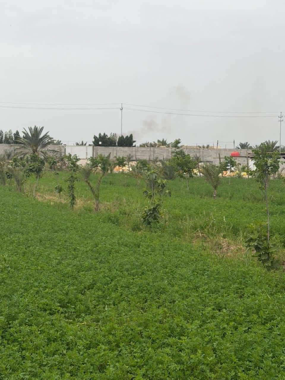 قرب جسر الطبر • ٥ دونم • سند ٢٥ زراعي
