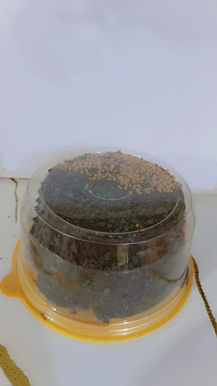 حي الجامعه • توصيل