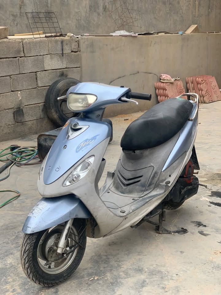 ماكس منغولي • شرط • تكريت