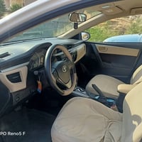 ٥ قطع صبغ • حزام • دهوك