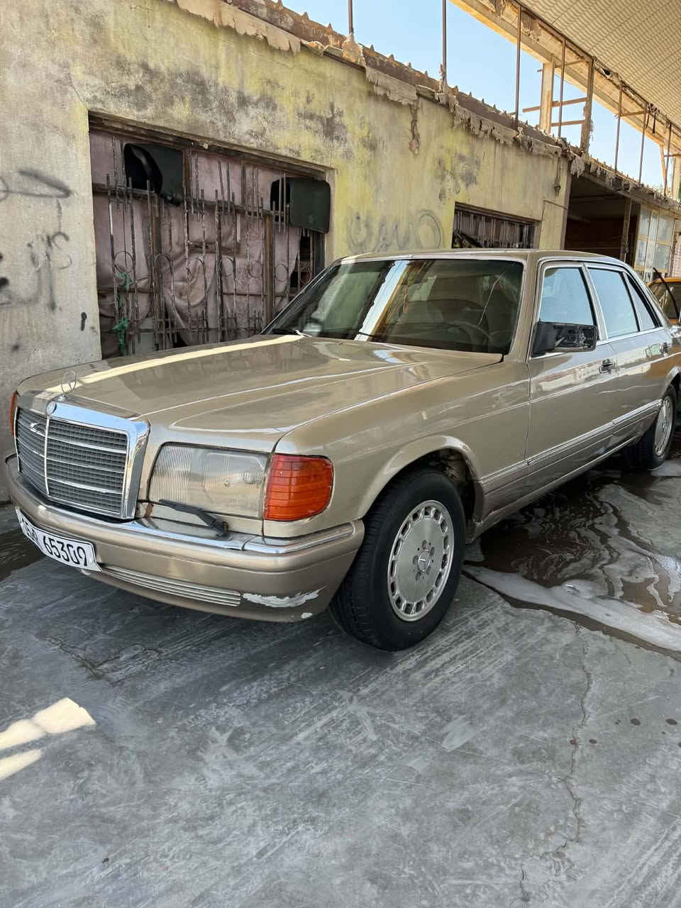 مار سدس مديل ٨٩ باب طويل كير مكينه كفاله شواصي مكفوله رقم جديد انبار تحويل مباشر ،مكان السياره محافظه الديوانيه السعر ، ٤٠ وبيه مجال سياره جاهزه ماناقصه شي تبريد كرهبائيات كله شغاله ، حداديه تايرات ، اتصال فقط ***********
