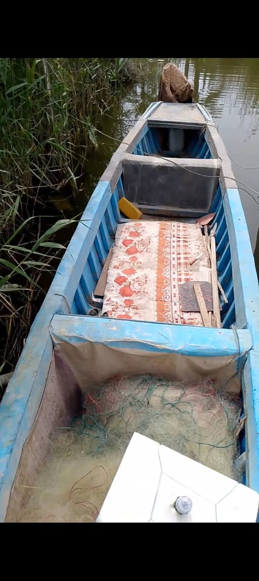 السلام عليكم ورحمه الله چينكوه فافون طول 16 ذراع بسعر مناسب ترهم مراوس وترهم بيع مراوس بزورق او بلم فايبر 16او 15او14سعرالبيع 450قفل العنوان بصره أبي الخصيب حمدان شارع الروميه رقم الهاتف *********** بيه و ساب

