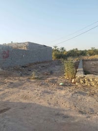 ١٥٠م • زراعي • الجمعية