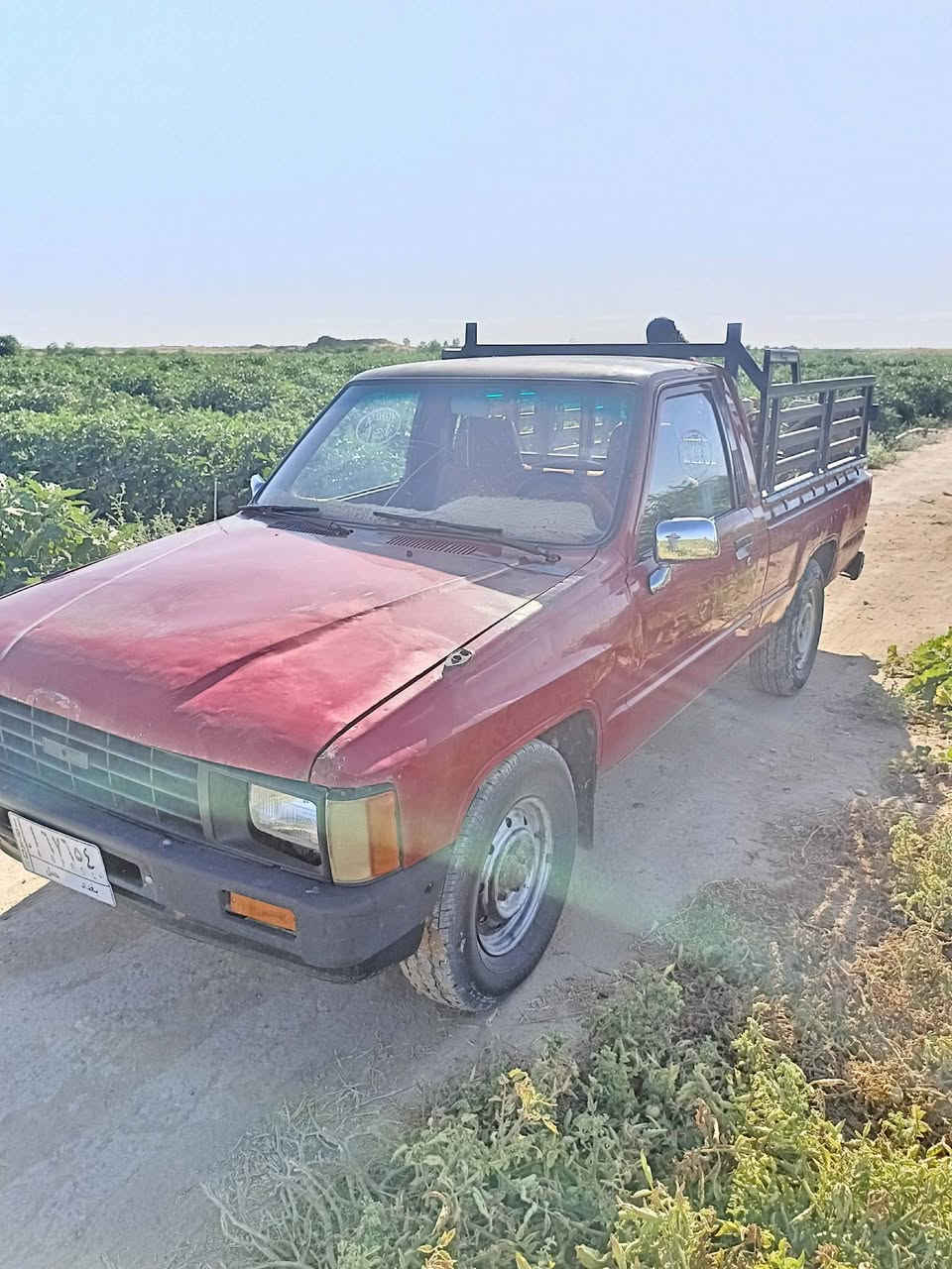 للبيع 85 بلادي رقم بغداد السنويه ل28 مكان صلاح الدين السعر 45 وبي مجال ***********
