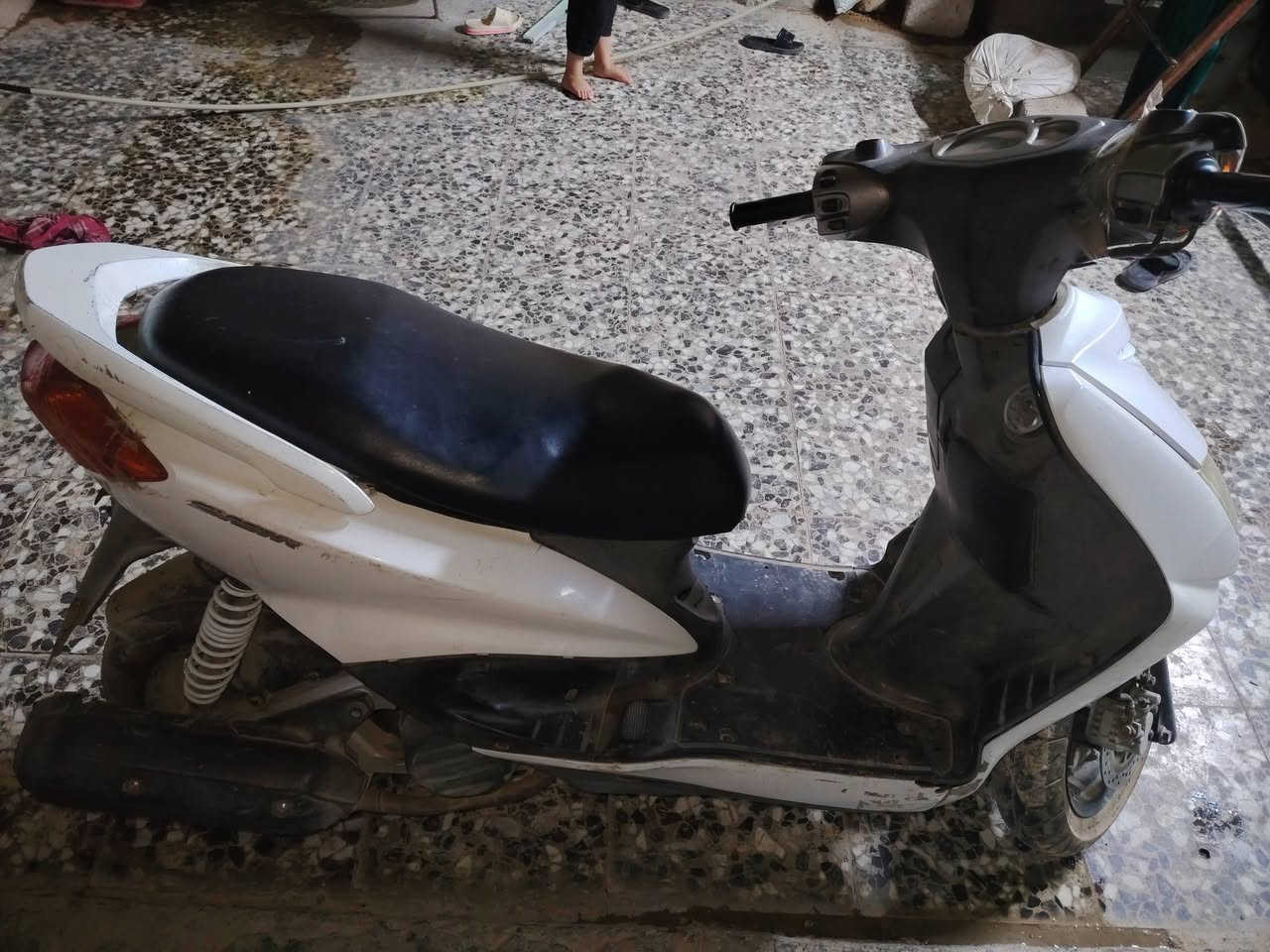 دراجه سكنس مجفته اشاير وهورن مو شغالات سعر ٣٥٠
***********
