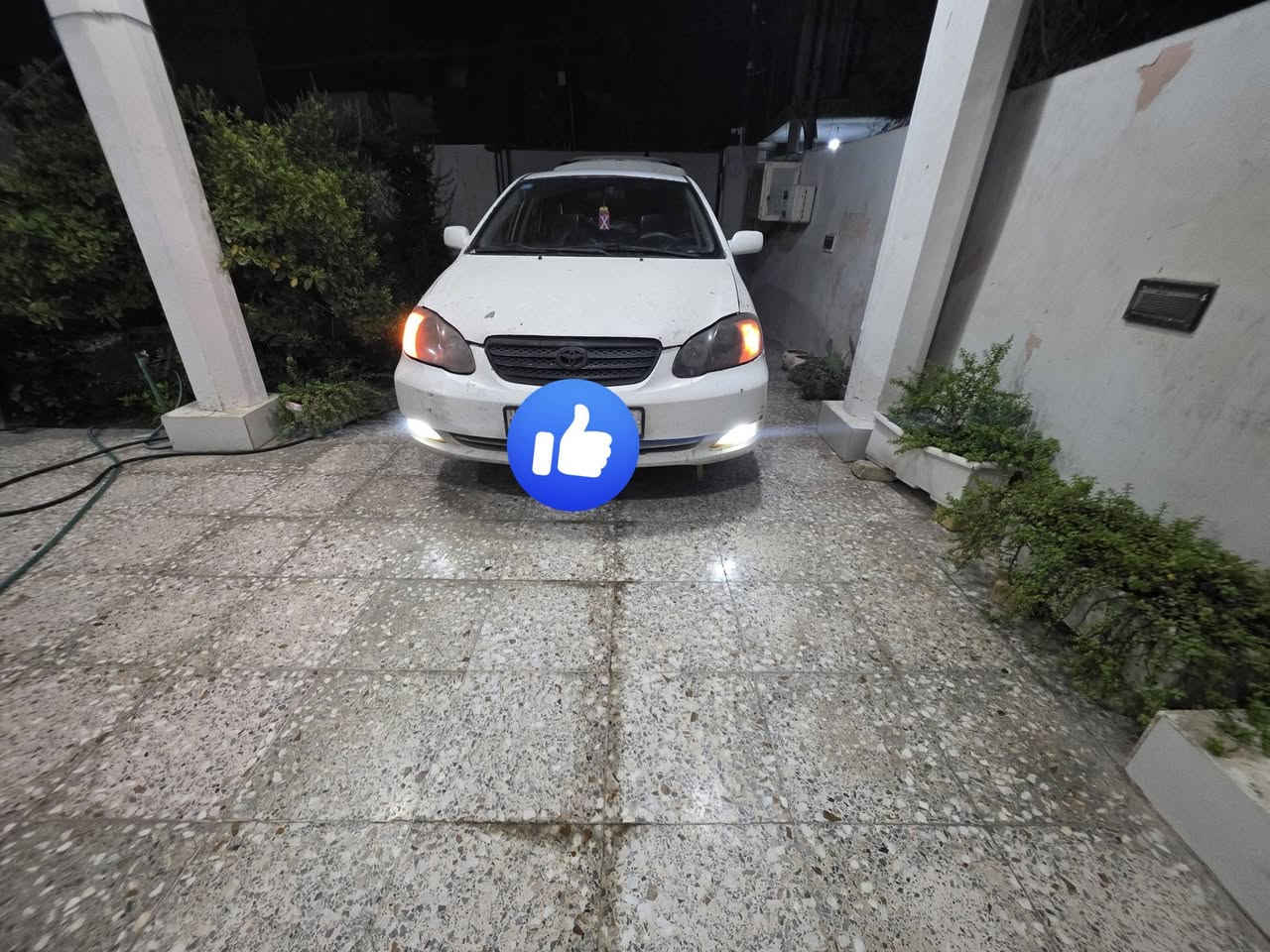 سلام عليكم
كورلا نحلة للبيع موديل 2007 امريكي
حادث جاملغ امامي يمنة فقط بالعراق صار بيهة طخات ضربات قوية ماكو سياره  هيكل خارجي صبغ حاز قامرة ما مصبوغة دعامية خلفية موجودة  سليمة سياره  مكينة بيهة خانة يعني كايمة حدادية امامي خلفي جديد تخم تاير جديد تبريد بي ضعف تدفء سليمة دواخل نضيفة  باتري جديد كهربائية سليمة  
سعر 55$ بيهة مجال 
للتواصل ***********
