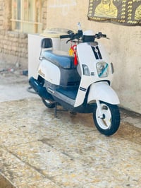 بوليس نوزل • ٢٠١٠ • زنون