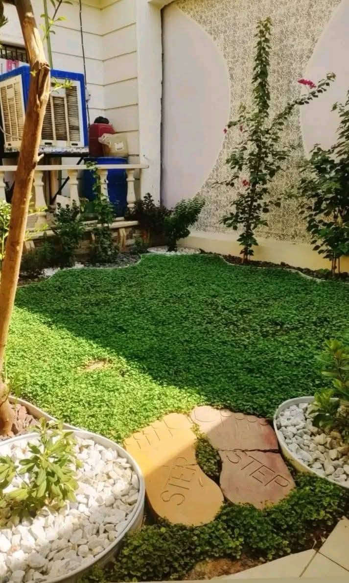 ثيل يطالي للبيع درجه اولى وباسعار مناسبة واصلك البيت الحجز خاص ***********
