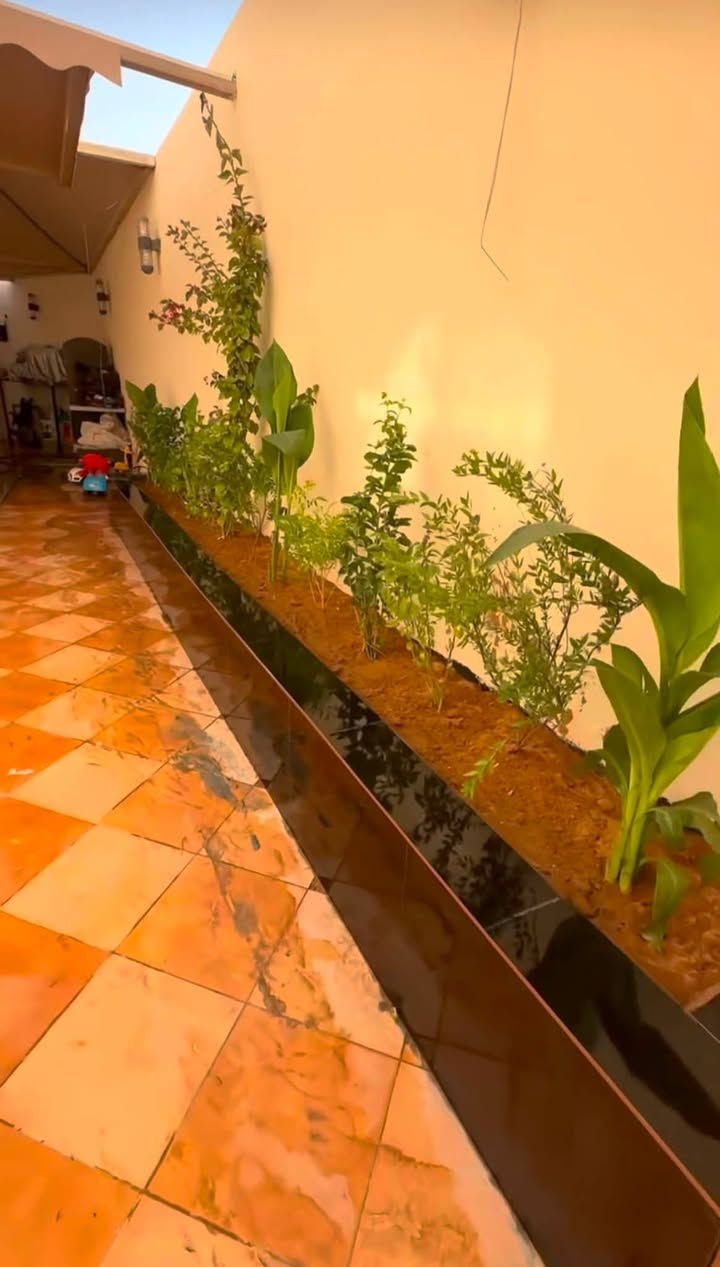 مستعدون 🌼عمل كافة الديكورات الحديقة
لترتيب حديقة المنازل والمزارع🏝️🏡
زراعة الثيل والازهار وائدامة الحديقة عامة
عالم تصميم الحدائق لواين وحجر ترتيب عام للحديقه بطرق جديده وحديثه
بأسعار مناسبه 
للاستفسار  ***********
