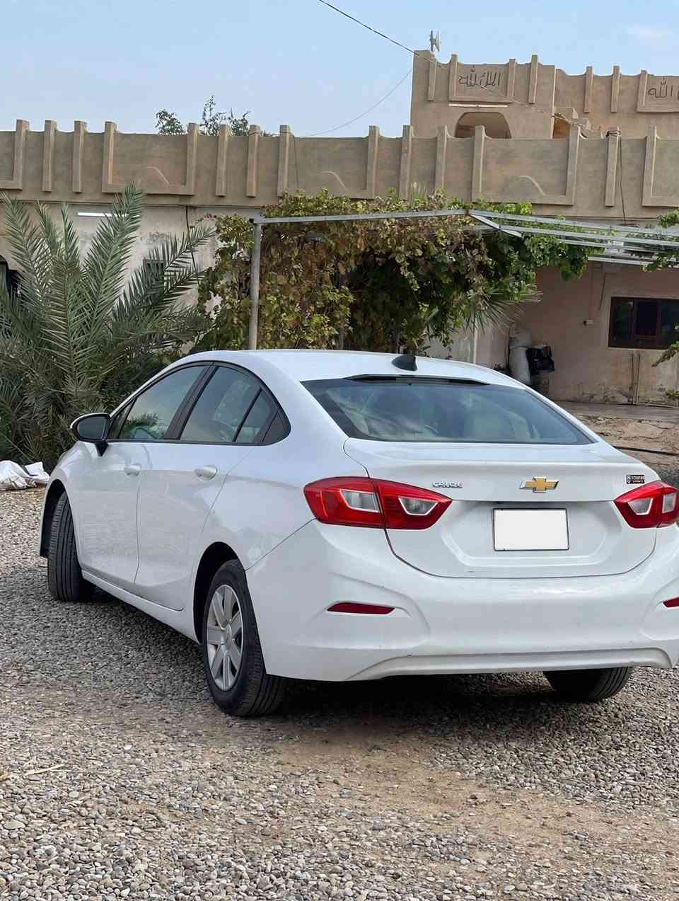 كروز • ٢٠١٧ • رقم سليمانية