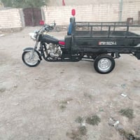 الستوته • ١٤ • مكفوله