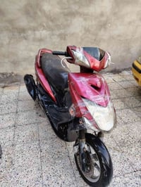 سكنس فحل • اوراق • شغاله