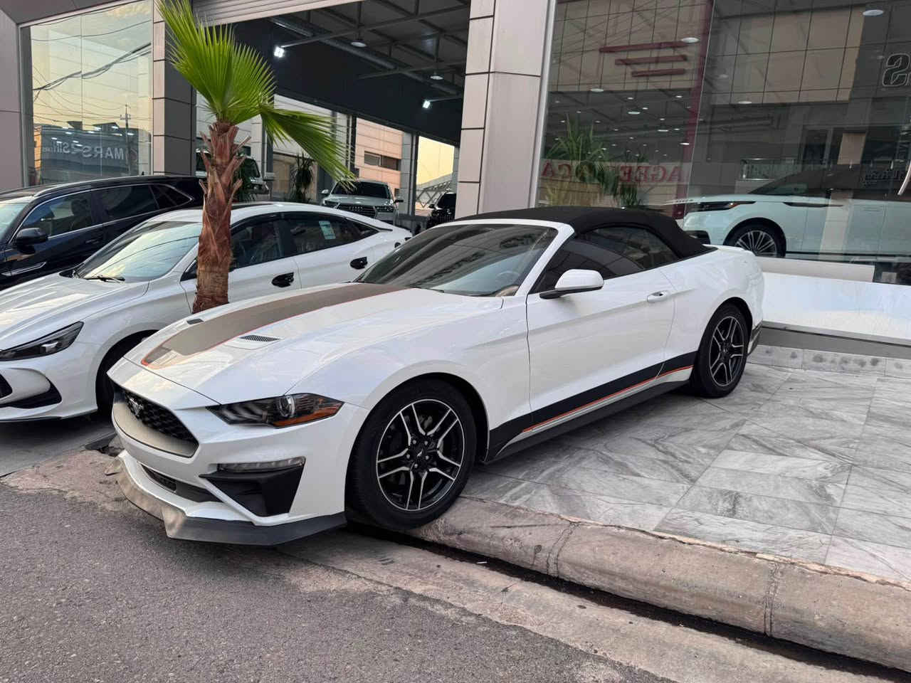 السلام عليكم 
Ford Mustang Premium 2023

السيارة ماشيه 56 الف

الضرر : جملوغ سكن و بوند تبديل بخ بدون شاصي و بدون دواخل شرط 
حجر صالنصه رادارات بیلادی

مود: Normal - Sport - Track - Snow/wet

مواصفات (فول بريميوم) :
داخل 7 الوان
سخف كشف
بصمه و شغال
عینات رادار
كشنات كهربائي
كشنات الجلد
كشنات هيتر و تبريد
شاشة كبير
360 رادار
نظام توجيه السيارة بين خطوط الطريق تحديد مسار)

محرك ٤ اسطوانات 
کیر و محرك بشرط بدون ادنی خلل
مکان السيارة دهوك 
سعر : 173$ مجال

*********** زاخو, دهوك
