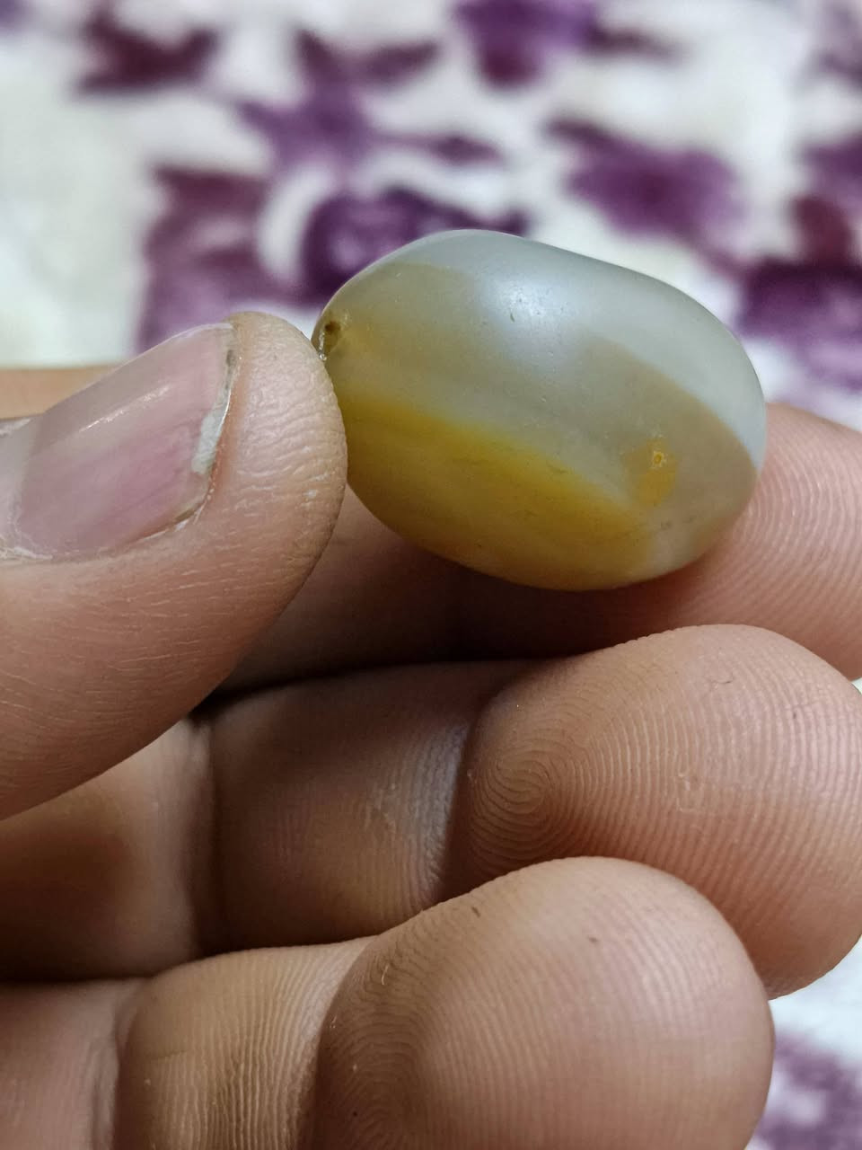 سليمانيه • معطف