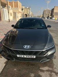 النترا ٢٠٢٥ • وارد امريكي • مرقمة كربلاء