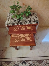 قنفات • طبلات