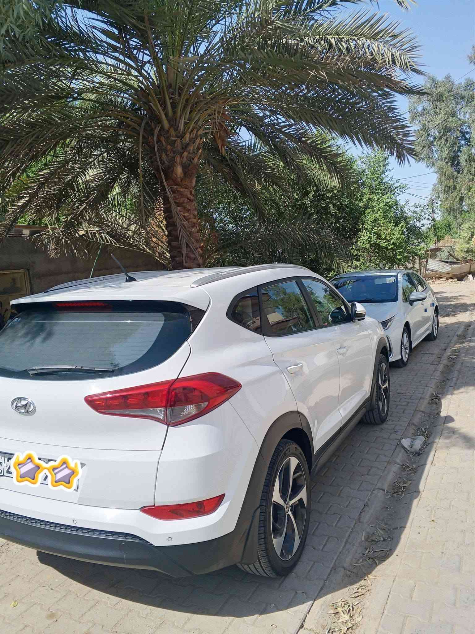 توكسان • ٢٠١٧ • كفاله عامه