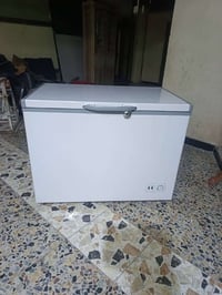 مجمدة • حجم كبير • شغالة