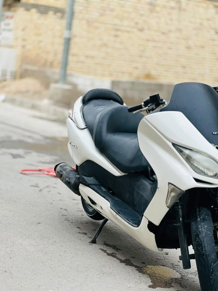 فورزة • ٢٠٠٨ • مكفولة