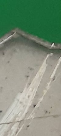 ١٥٠ غرام