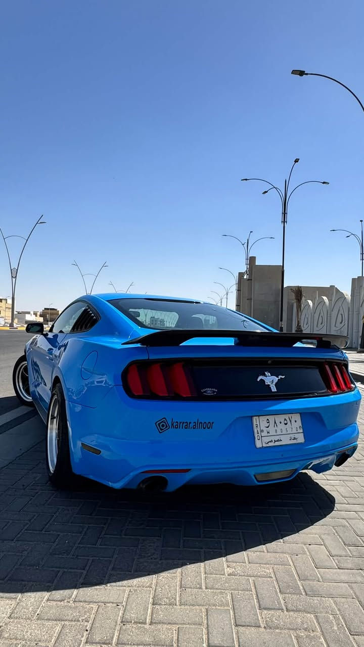 موستنك 6 سلندر
موديل 2017 
لون مميز 💙
ويل ويلد

محرك گير كهربائيات كفالة 
لغود شواصي كفالة 

بيه 4 قطع سطحيات بدون دواخل 

تبديل بنيد بحادث امريكا و تصليح باب و جاملغ بالعراق 
مثل ما موضح بالسونار 

السونار بتاريخ 2026/6/16

حادث امريكا و حادث العراق و رقم الشاصي موجودات بالصور 

الحادثين سطحيات 

ايرباك استيرن فقط 

ماشية 64 الف ميل 

السيارة رقم بغداد بأسمي 

مكان السيارة البصرة 

لتواصل ***********

السعر 138

نص مكتوب في الصور:
- حادث العراق