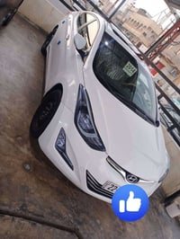 النترا ٢٠١٤ • فول • رقم اربيل