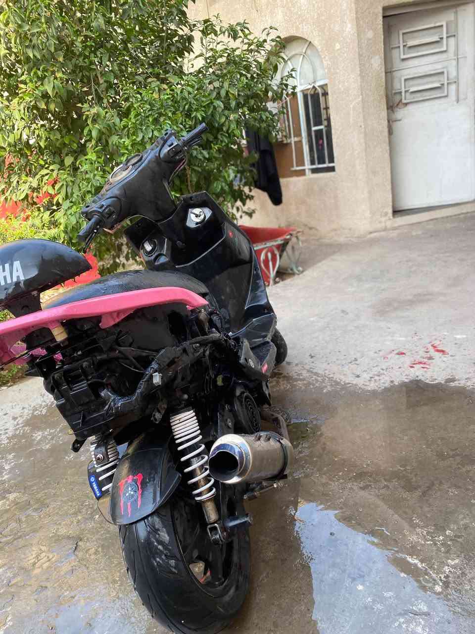 سكنس فحل • بوشه ٥٨ونص • شلعه معدل