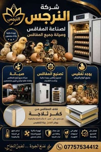 النرجس • مفاقس • ٥٠-١٥٠٠ بيضة