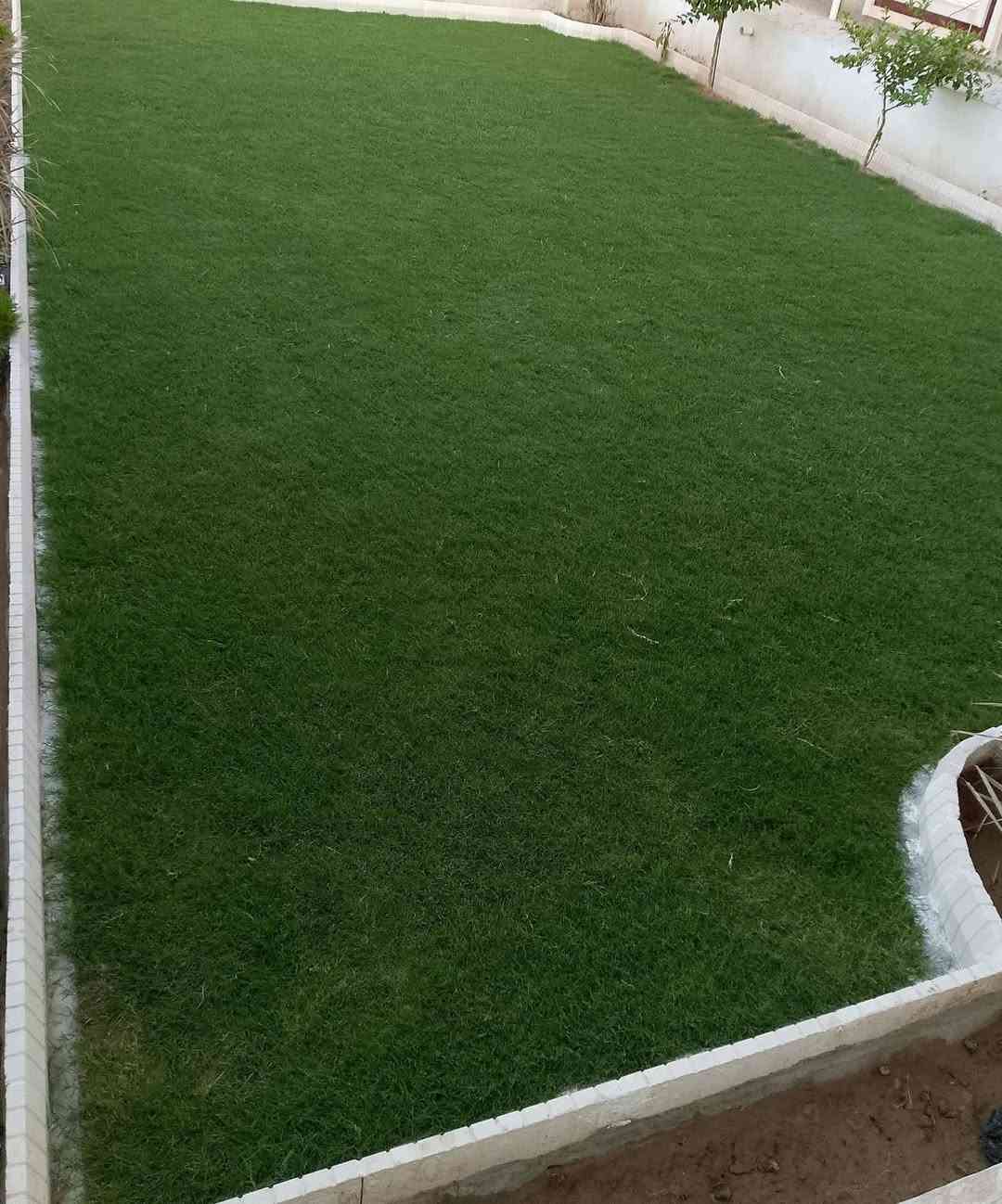 لعمل الديكور اتصل على الرقم ***********
🍃مستـعدون🍂 ، لـترتيب🐦 الحدائق المنزلية 🏝️🏘️ ودوائر الدوله والمتنزهات  مايخص الحدائق العامة
وزراعة النباتات، 🌾🌴🌱والازهار، 🌼🌺🌻وقص الثيل.🌾🌾
وعمل الديكورات والتصاميم،الحديثة للحدائق،وعمل  الحدائق، بواسطة الاحجار الملونة
