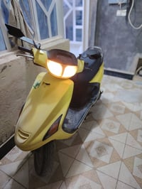 فراشة فحل • نظيفه • ناعمه