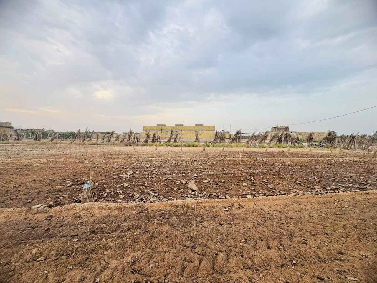 دونم ونص • طابو سند 25 • شارع نجف كربلاء
