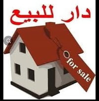 ٣٠٠م • سند حر • ركن