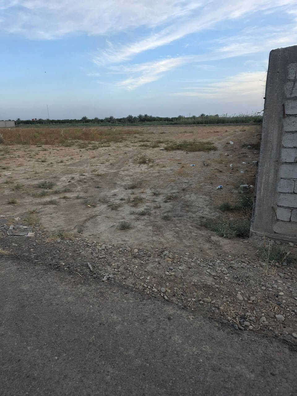 تاجي زملة حمدي • دونم • سند ٢٥