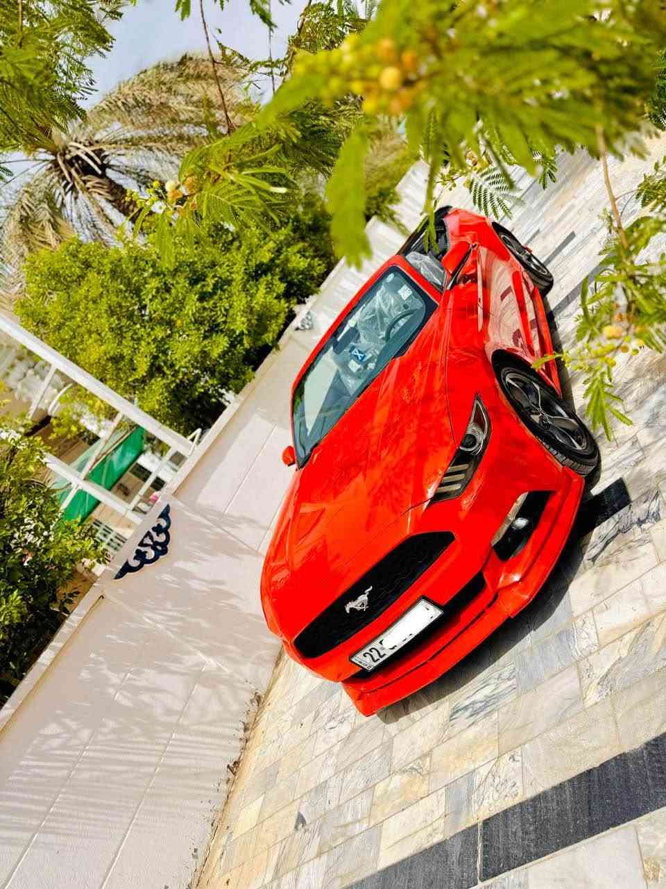 فورد موستنك 2015 للبيع 

محرك 3700 6v

لون مميز 

مواصفات السته سلندر المعروفة 

السيارة عليها تفريغ وبرمجة سيفتي 

عليها داون بايب 

دبات ht power + كت اوف و ببكورن 💥💥  

صوتها يخبل 

وتحكم ريمونت يعني اذا تسدة تصير كاتم 

وعليها بونيد GT 

دعامية وشباك GT + سبايدر 

وسكوبات مثلث جانبية 

وداخل جديد ومدوشم مشمشي + اسود 

تبريدها ثلج ❄️ 

شاشة صغيرة + كامرة 

وتحكم ستيرن + مثبت سرعة 

ومسويلها بوليش + نانو سيراميك 

لايت مشتغلة عدسات بليل نهار يصير

السيارة كلين

الحمدلله السيارة كاملة مبيها نقوصات رقم اربيل جديد + سنوية لحد 2031 تحويل ثاني يوم 
العنوان بغداد *********** بغداد, العراق
