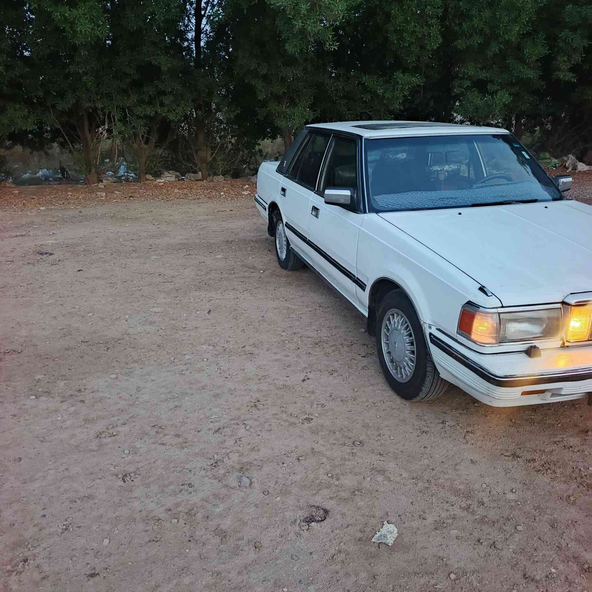 سوبر ٨٦ • رقم بغداد • سنوية جديدة