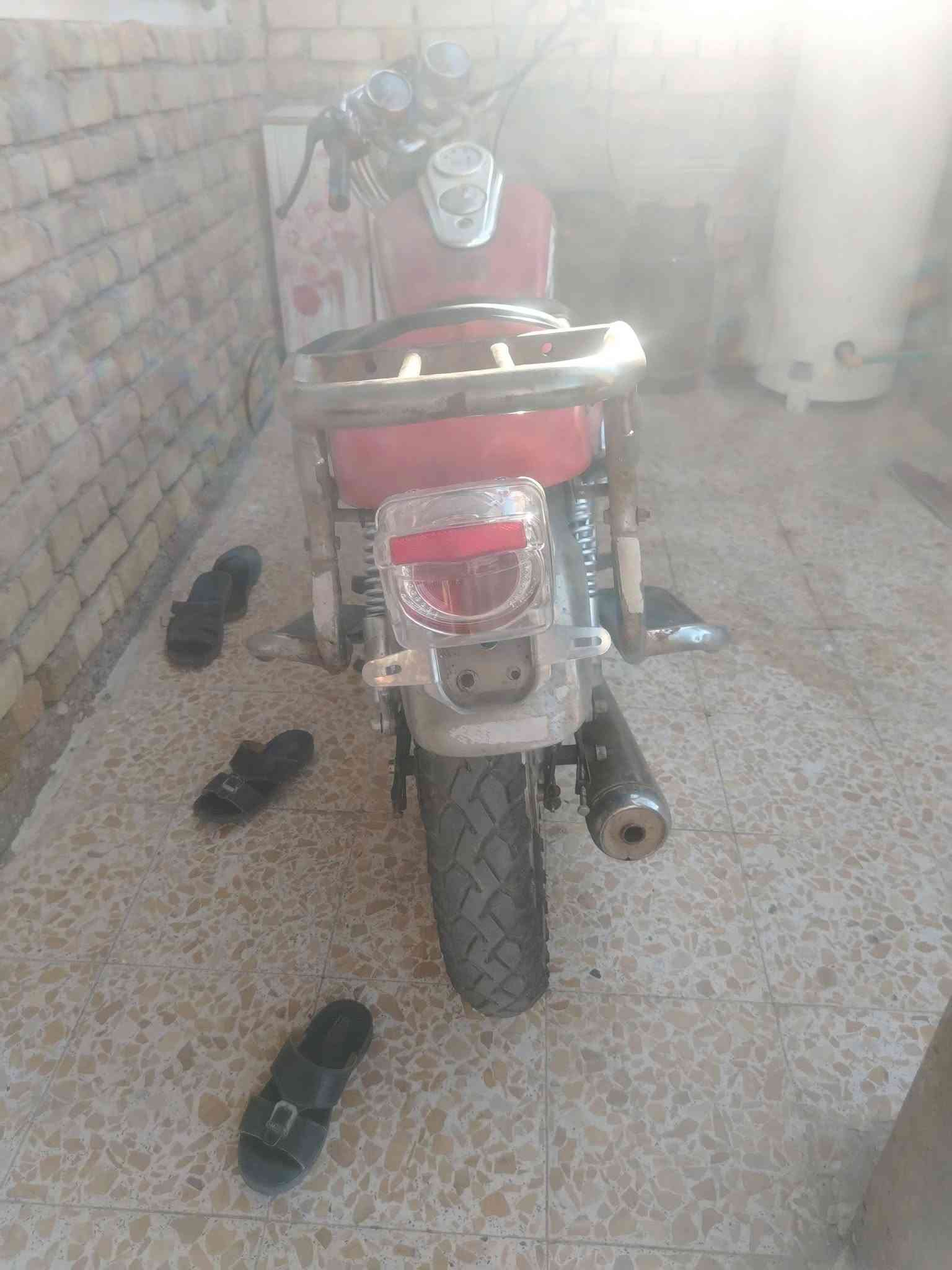 جونده • اوراق • اصوليه