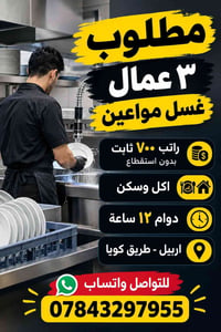 ٣ عمال • غسل مواعين • طريق كويا