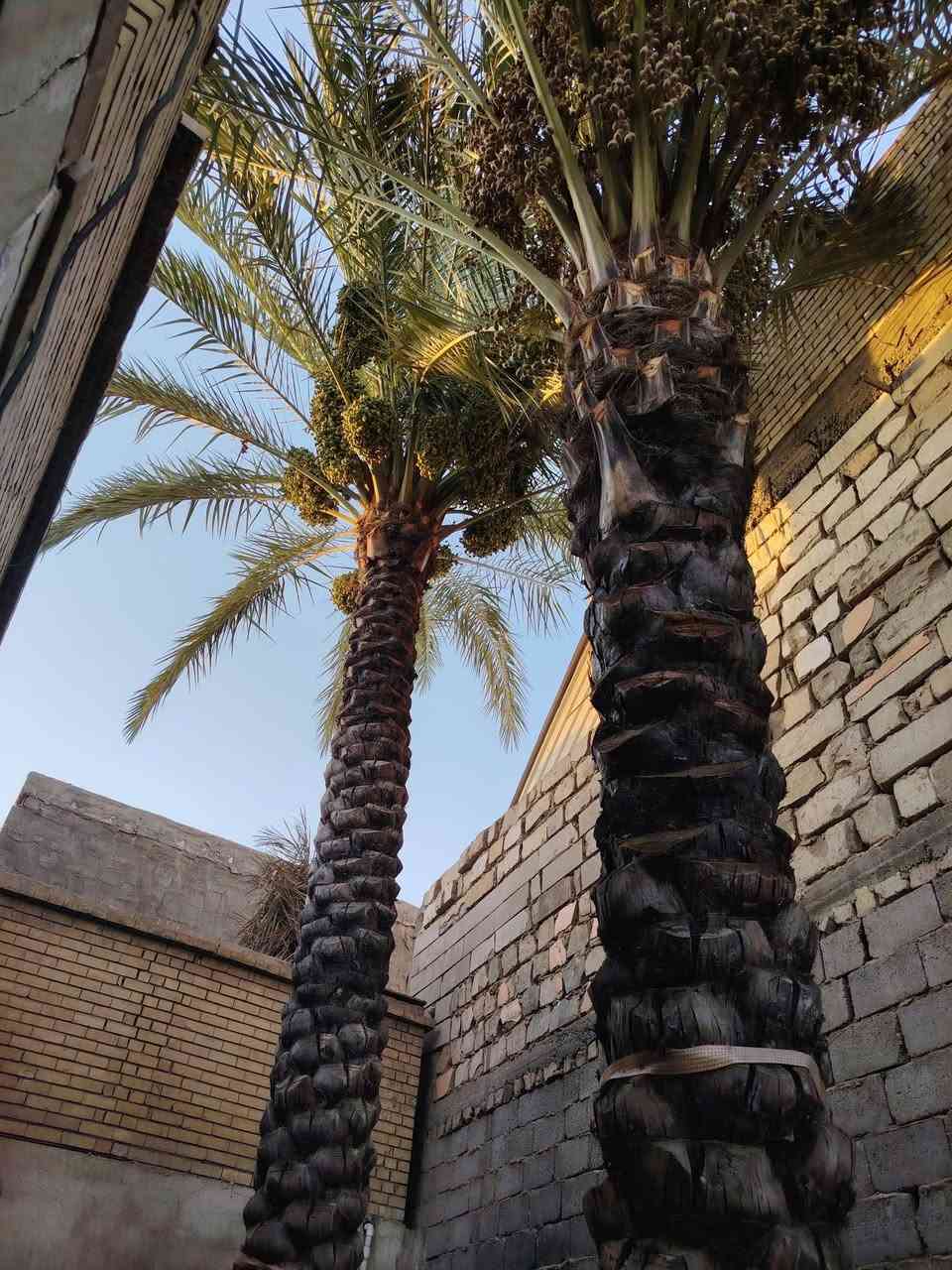 سلام عليكم بيت للبيع في حي العامل المنطقة السابعه مقابل أسواق التفاحة مساحة البيت ٢٤٠ متر واجهة البيت ١٤ متر ونص السعر ١٨٥      للتواصل***********
