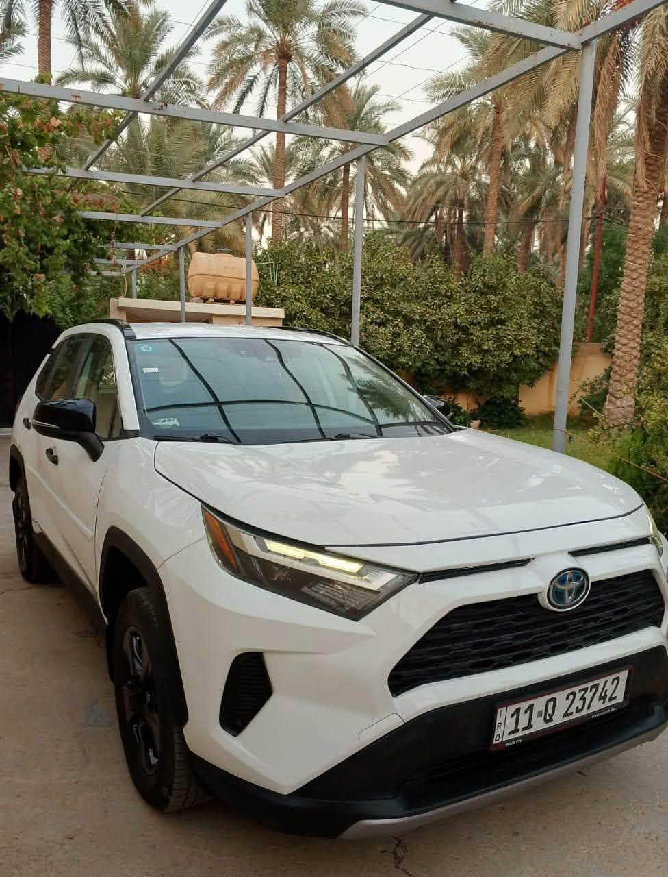 راف فور XLE • هايبرد • رقم بغداد