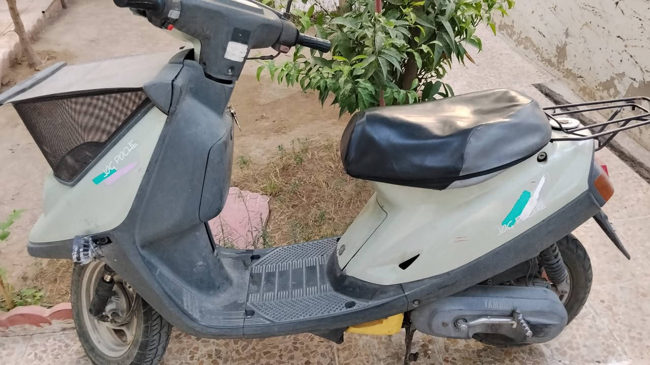 جوج • نضيف • سلف ما يشتغل