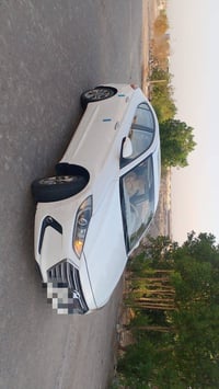 GLS كامل • ٢٠١٧ • رقم بصرة