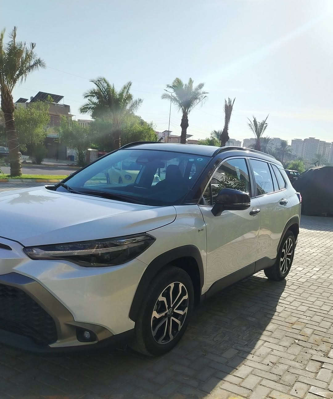 فرونت لاندر S • ٢٠٢٥ • مكفولة